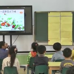 大班语言活动《一园青菜成了精》幼师上课教学视频