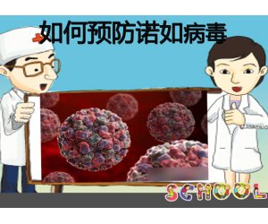 幼儿园传染病预防活动《如何预防诺如病毒》健康PPT课件免费下载
