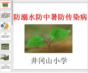幼儿园综合安全教育《防溺水防中暑防传染病班会》ppt课件下载