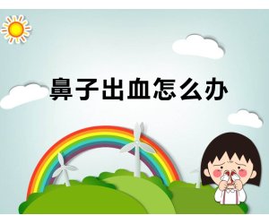 幼儿园健康活动《鼻子出血怎么办》中班PPT课件下载