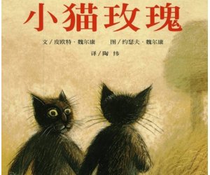 幼儿园绘本PPT课件《小猫玫瑰》含教案下载