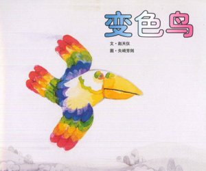 幼儿园绘本故事《变色鸟》PPT课件+教案下载