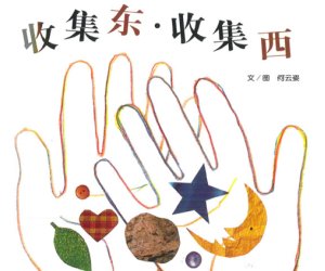 幼儿园物品分类绘本《收集东收集西》PPT课件+教学设计下载