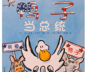 幼儿园绘本故事《鸭子当总统》PPT课件+教案下载