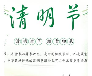 幼儿园清明节节日专题PPT课件下载