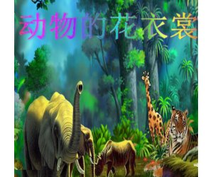 幼儿园大班美术《动物花衣裳》PPT课件下载