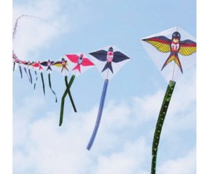幼儿园绘画活动《风筝》中班美术PPT课件