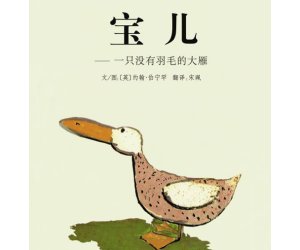 幼儿园生命励志绘本教学《宝儿--一只没有羽毛的大雁 》PPT课件