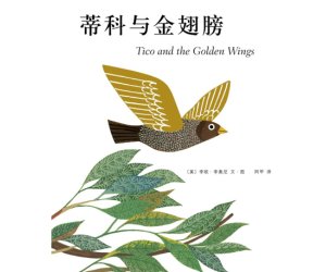 幼儿园绘本故事推荐《蒂科与金翅膀》PPT课件下载