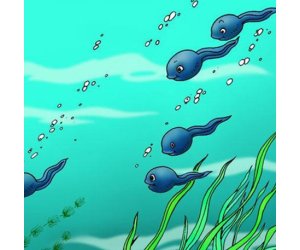 幼儿园大班艺术《小蝌蚪》美术PPT课件
