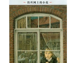 幼儿园绘本故事《铁丝网上的小花》PPT课件下载