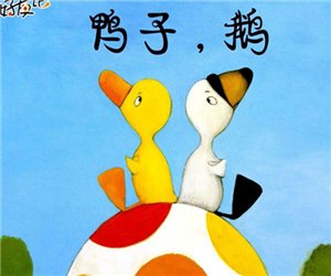 好友记系列绘本《鸭子，鹅》幼儿园PPT课件下载