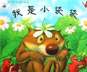幼儿园小班绘本《我是小袋袋》PPT课件下载