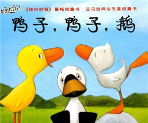 好友记系列《鸭子，鸭子，鹅》幼儿园PPT课件下载