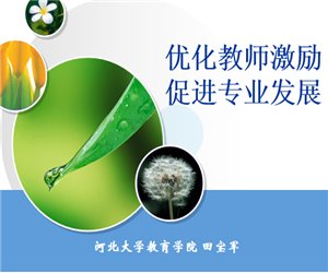 幼儿园园长学习《优化教师激励 促进专业发展》PPT课件下载